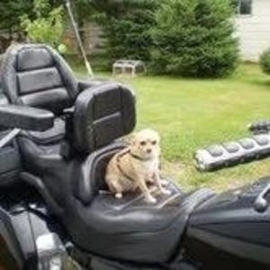 Meet your Posher, Al.